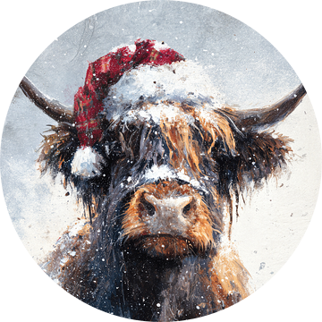 Schotse Hooglander Winterportret met Kerstmuts