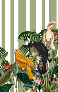 I'ts all about Parrots