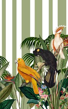 I'ts all about Parrots van Marja van den Hurk