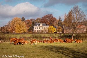Familientreffen auf Schloss Cartils Kapolder