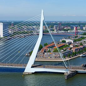 Erasmusbrücke und Nordinsel von Mark De Rooij