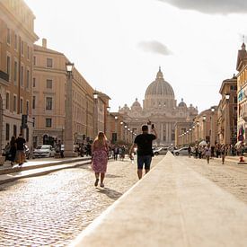 Vatican City with St Peter's Cathedral by David van der Kloos