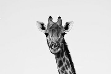 Giraffe portret zwart-wit van Amy Huibregtse