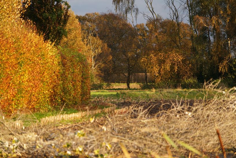 Achterhoek scenery autumn 2021 by Jan Nuboer