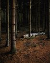 Fallen. by PEEQ. thumbnail