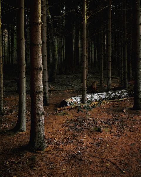 Fallen. by PEEQ.