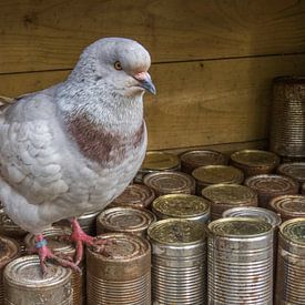 Hier staat het eten! van JacQ