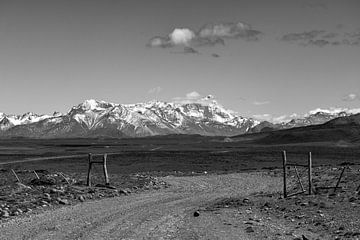 De steppe van Patagonië van Christian Peters