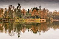 Herfstlandschap autumn landscape van Ellen Denkers-Hartman thumbnail