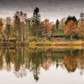 Herfstlandschap autumn landscape von Ellen Denkers-Hartman