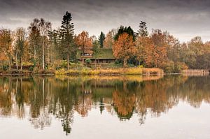 Herfstlandschap autumn landscape