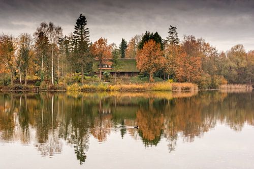 Herfstlandschap autumn landscape van Ellen Denkers-Hartman