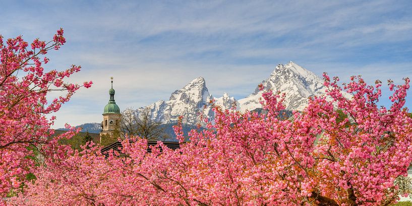 Watzmann und Kirschblüte in Berchtesgaden von Michael Valjak