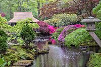 Japanse tuin