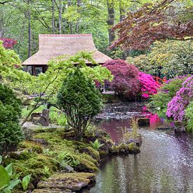 Japanse tuin sur Chayenne Batenburg-Boom