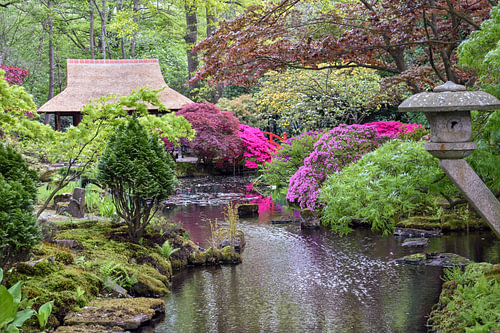 Japanse tuin