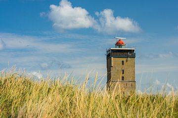 Brandaris sur Douwe Schut