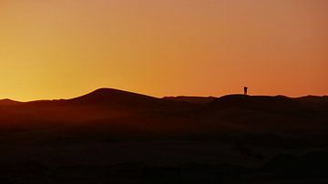 Zweisam einsam in der Wüste von Timon Schneider