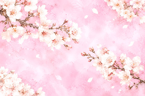 Blütenzauber mit Kirschblüten