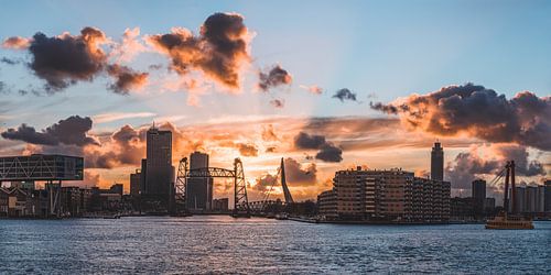 Rotterdam panorama