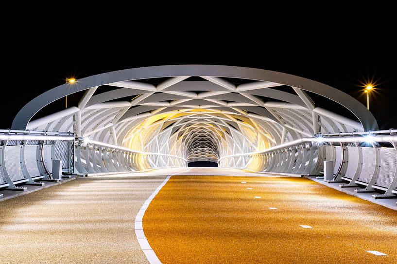 Pont de Portland, pont moderne, Netkous par Edwin van der Kooij