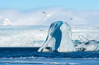 IJsberg in de gletsjerlagune Jokulsarlon van Denis Feiner thumbnail