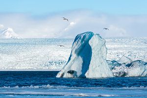 Eisberg in der Gletscherlagune Jokulsarlon