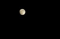 The Moon