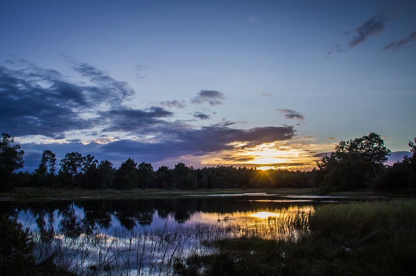 Reflection von Jeroen Maas
