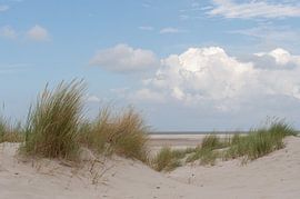 Amelander duin van Jan Iepema