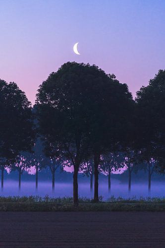 Lever de soleil avec une demi-lune