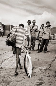 De grote vissen - analoge fotografie! van Tom River Art