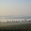 Mist boven de Nebbiolo-wijngaarden van Patricia Hofmeester