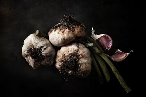 Knoflook in schaduwlicht
