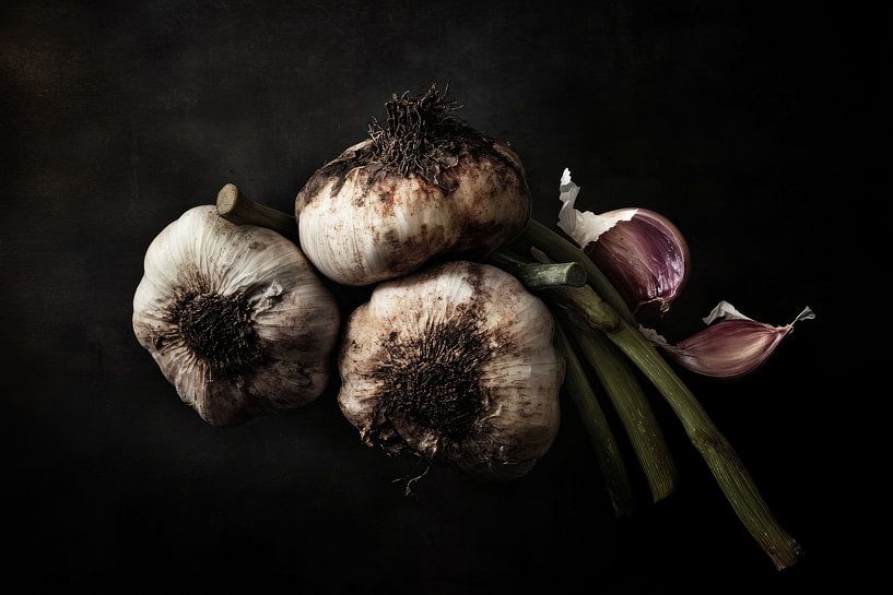 Knoblauch im Schattenlicht von Franka Poulain