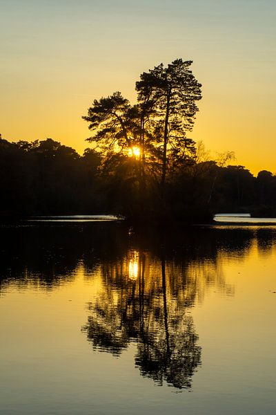 Die Sonne geht hinter den Bäumen auf einer kleinen Insel in den Oisterwijkse Bossen en Vennen unter. von Margreet Frowijn