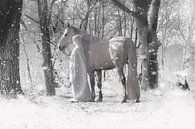 Gesluierd persoon met wit paard van Laura Loeve thumbnail