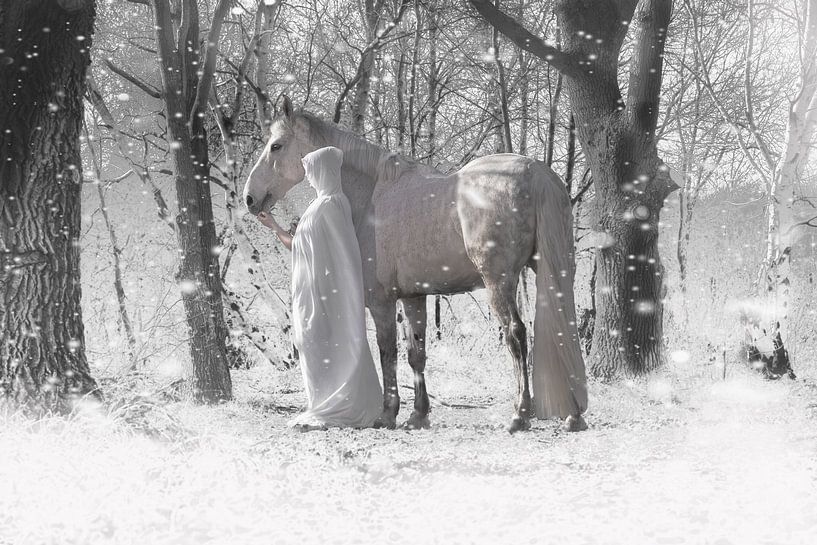 Gesluierd persoon met wit paard van Laura Loeve