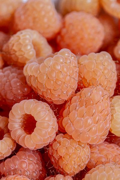 Autumn raspberries by Nina van der Kleij