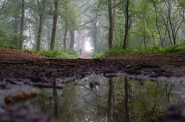 Teich im Wald von Tania Perneel