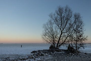 silhouette van een boom van Paul Veen