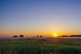 Sunrise in the Roegwold by Visual Creations by Timon