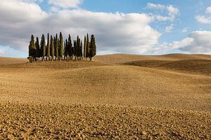 Val d'Orcia van Bart van Dinten