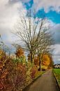 Herfstsfeer in Bünde 11/2024 van Momentaufnahme | Marius Ahlers thumbnail