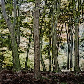 Dancing trees (1) by Boudewijn Swanenburg