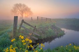 La clôture menant au polder sur Bas Meelker