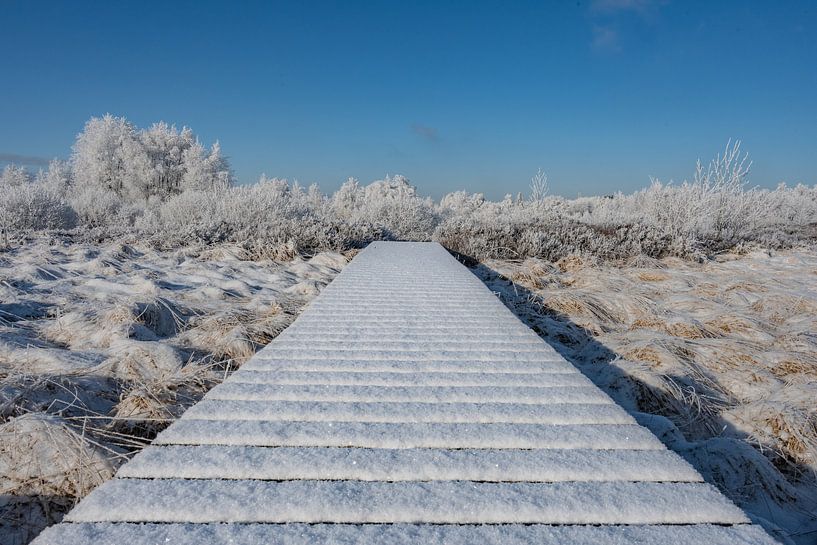Winter in de Hoge Venen van Heinz Grates