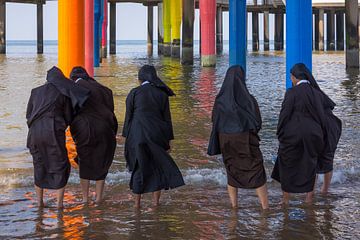 Suche nach kühlenden Nonnen von Rinus Lasschuyt Fotografie