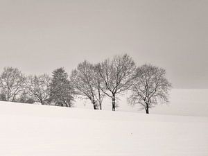 Winter Landschaft mit Bäumen