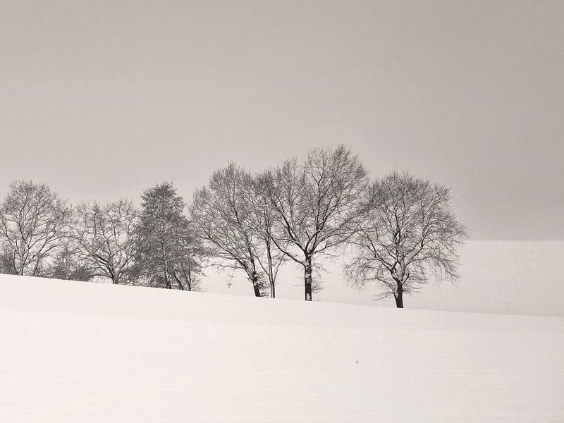 Winter Landschaft mit Bäumen van Lena Weisbek